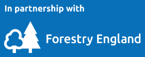 High Lodge Adventure Golf has partnered with Forestry England
